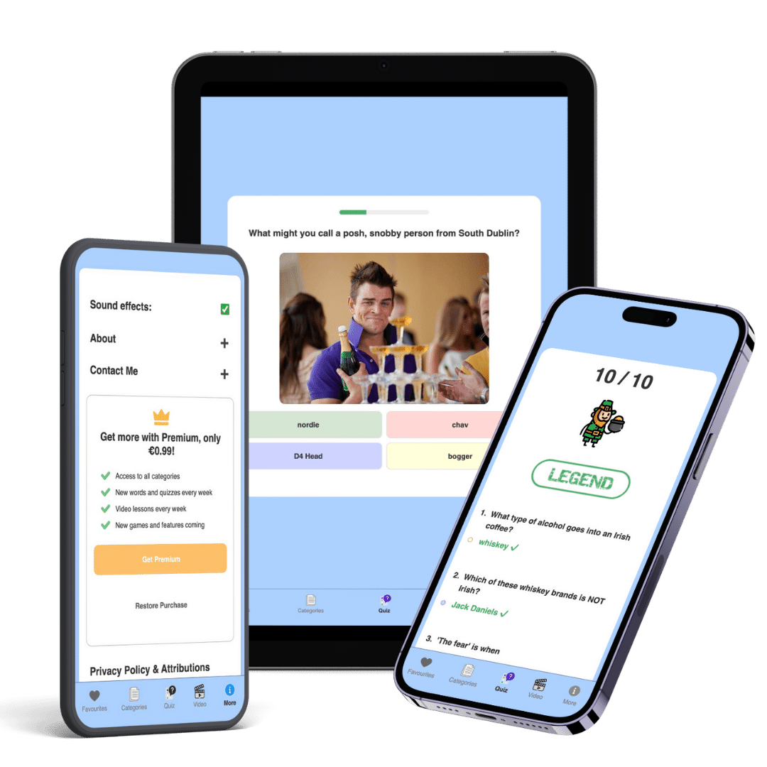 Irish Slang app screenshot